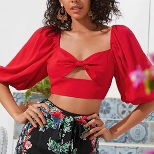 SHEIN Red Crop Top
